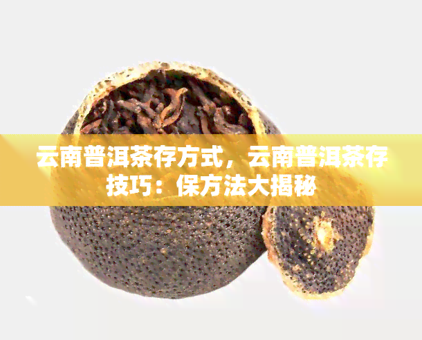 云南普洱茶存方式，云南普洱茶存技巧：保方法大揭秘