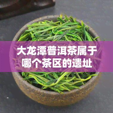 大龙潭普洱茶属于哪个茶区的遗址