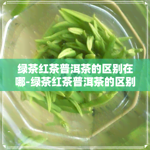 绿茶红茶普洱茶的区别在哪-绿茶红茶普洱茶的区别在哪里