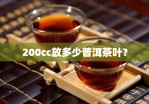 200cc放多少普洱茶叶？