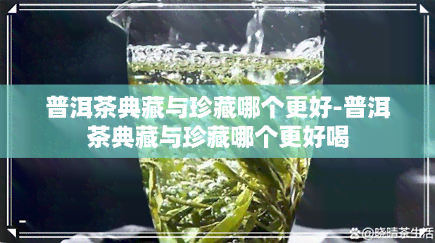 普洱茶典藏与珍藏哪个更好-普洱茶典藏与珍藏哪个更好喝