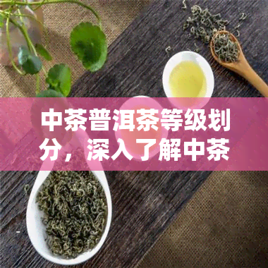 中茶普洱茶等级划分，深入了解中茶普洱茶等级划分：品质层次解析