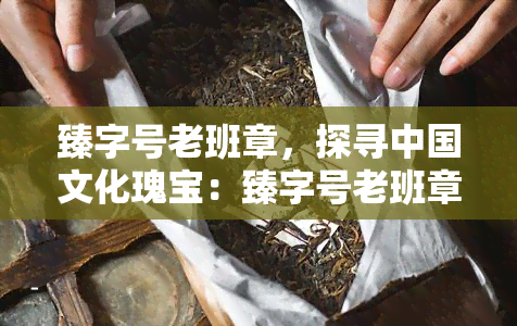 臻字号老班章，探寻中国文化瑰宝：臻字号老班章的历与传承