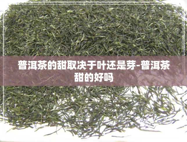 普洱茶的甜取决于叶还是芽-普洱茶甜的好吗