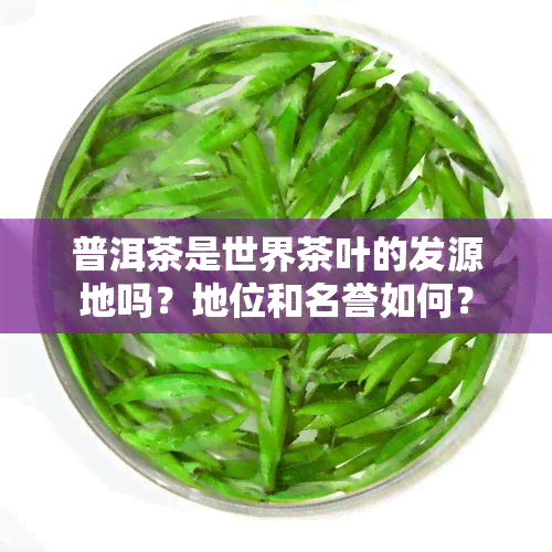 普洱茶是世界茶叶的发源地吗？地位和名誉如何？