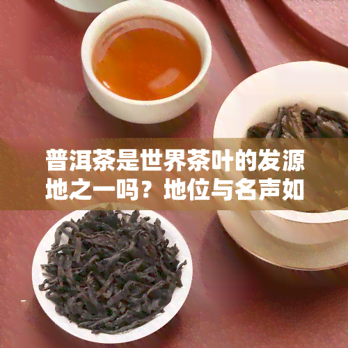 普洱茶是世界茶叶的发源地之一吗？地位与名声如何？