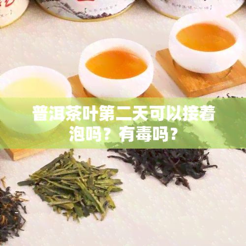 普洱茶叶第二天可以接着泡吗？有吗？