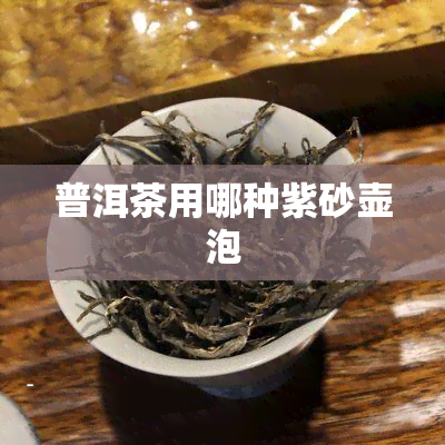 普洱茶用哪种紫砂壶泡