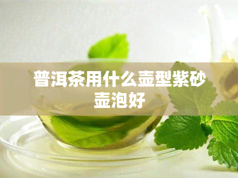 普洱茶用什么壶型紫砂壶泡好