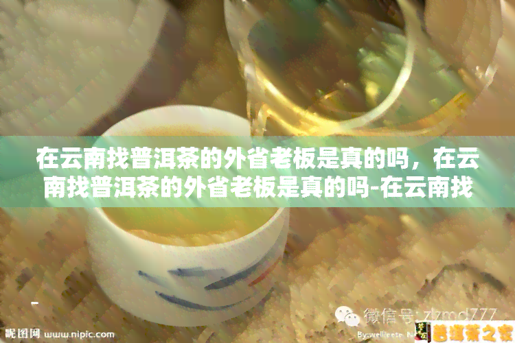 在云南找普洱茶的外省老板是真的吗，在云南找普洱茶的外省老板是真的吗-在云南找普洱茶的外省老板是真的吗吗