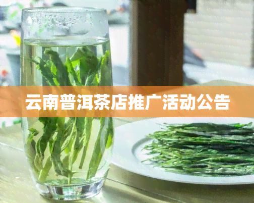 云南普洱茶店推广活动公告