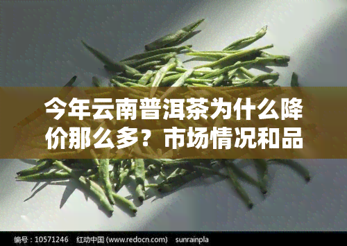 今年云南普洱茶为什么降价那么多？市场情况和品质如何？