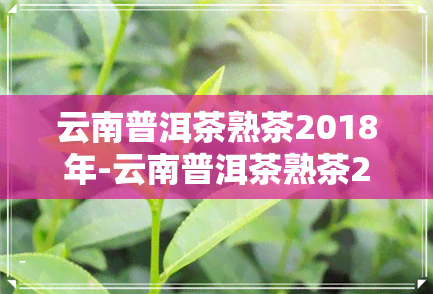 云南普洱茶熟茶2018年-云南普洱茶熟茶2018年价格