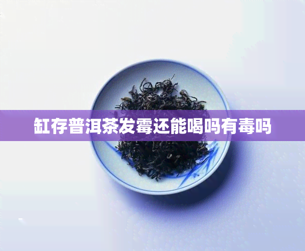 缸存普洱茶发霉还能喝吗有吗