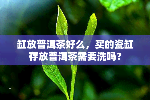 缸放普洱茶好么，买的瓷缸存放普洱茶需要洗吗？