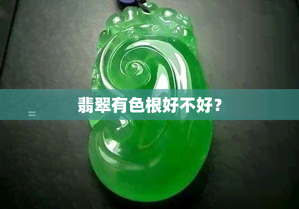 翡翠有色根好不好？