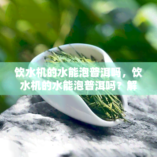 饮水机的水能泡普洱吗，饮水机的水能泡普洱吗？解析水质对普洱茶影响的关键因素