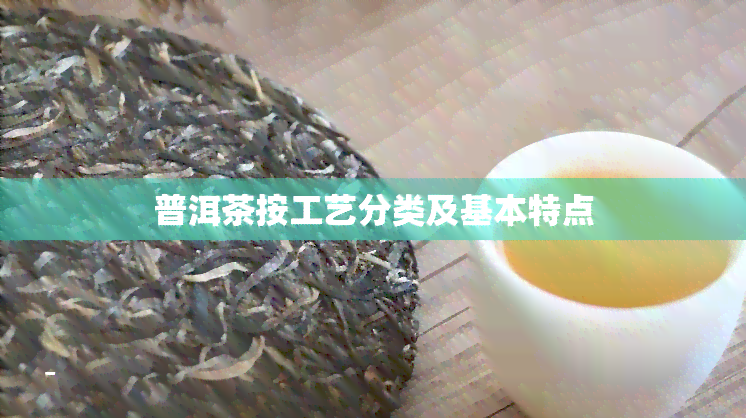 普洱茶按工艺分类及基本特点