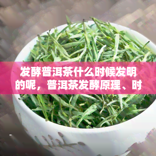 发酵普洱茶什么时候发明的呢，普洱茶发酵原理、时间、条件