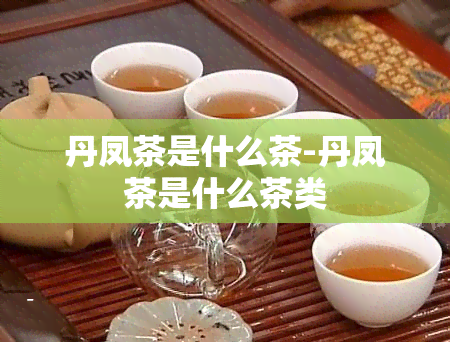 丹凤茶是什么茶-丹凤茶是什么茶类