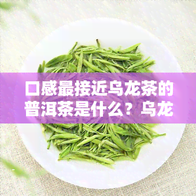 口感最接近乌龙茶的普洱茶是什么？乌龙茶普洱茶口感区别，比较像