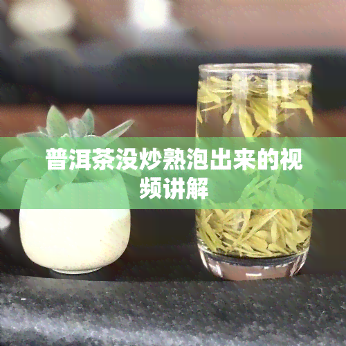 普洱茶没炒熟泡出来的视频讲解