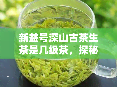 新益号深山古茶生茶是几级茶，探秘新益号深山古茶：揭秘其茶叶等级