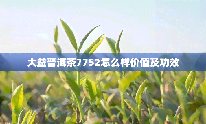 大益普洱茶7752怎么样价值及功效