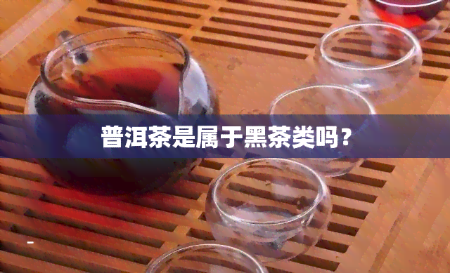 普洱茶是属于黑茶类吗？