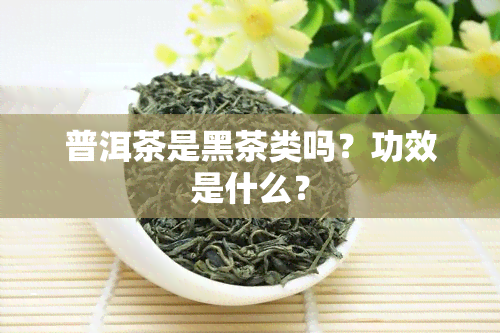 普洱茶是黑茶类吗？功效是什么？