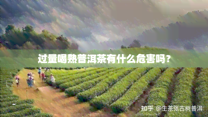 过量喝熟普洱茶有什么危害吗？