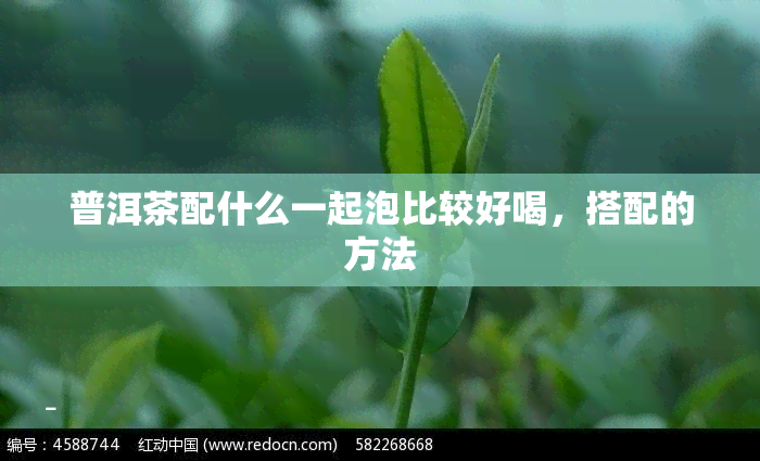 普洱茶配什么一起泡比较好喝，搭配的方法