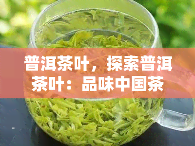 普洱茶叶，探索普洱茶叶：品味中国茶文化的精髓