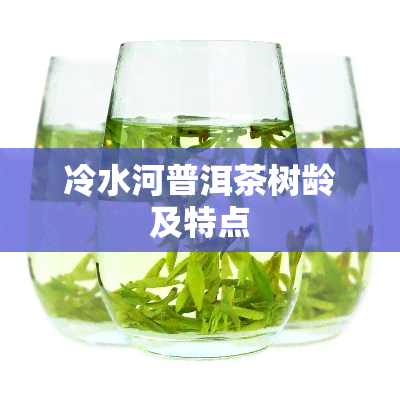 冷水河普洱茶树龄及特点