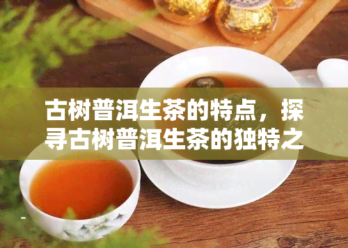 古树普洱生茶的特点，探寻古树普洱生茶的独特之处