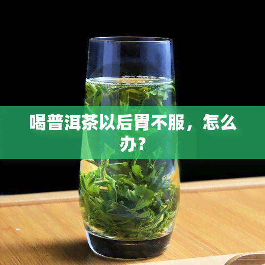 喝普洱茶以后胃不服，怎么办？