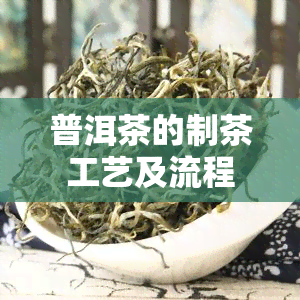 普洱茶的制茶工艺及流程