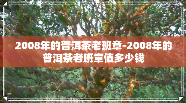 2008年的普洱茶老班章-2008年的普洱茶老班章值多少钱