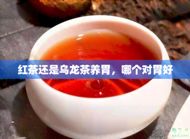 红茶还是乌龙茶养胃，哪个对胃好