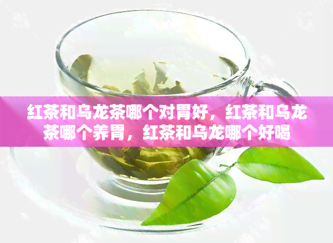 红茶和乌龙茶哪个对胃好，红茶和乌龙茶哪个养胃，红茶和乌龙哪个好喝