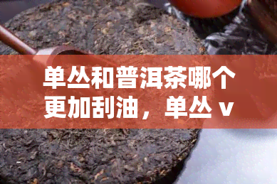 单丛和普洱茶哪个更加刮油，单丛 vs 普洱茶：哪个更有效刮油？