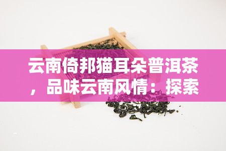 云南倚邦猫耳朵普洱茶，品味云南风情：探索倚邦猫耳朵普洱茶的醇香之旅