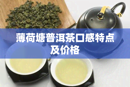 薄荷塘普洱茶口感特点及价格