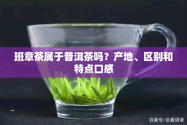 班章茶属于普洱茶吗？产地、区别和特点口感