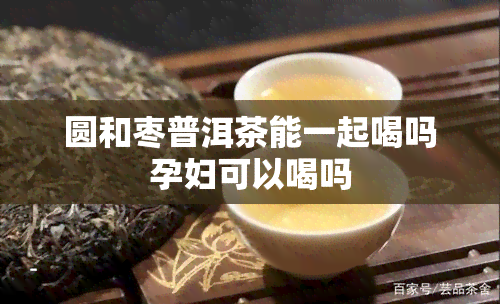 圆和枣普洱茶能一起喝吗孕妇可以喝吗