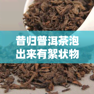 昔归普洱茶泡出来有絮状物吗，普洱茶泡出来有絮状物吗？解析茶叶沉淀现象