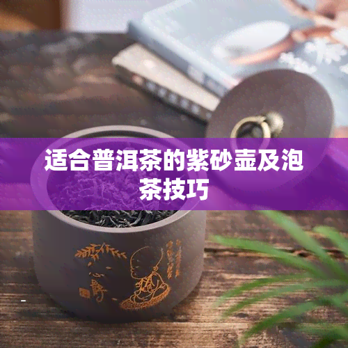 适合普洱茶的紫砂壶及泡茶技巧