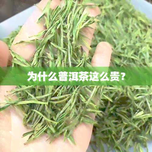 为什么普洱茶这么贵？