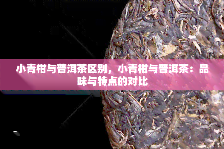 小青柑与普洱茶区别，小青柑与普洱茶：品味与特点的对比