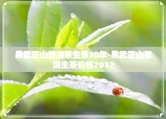 易武正山普洱茶生茶30年-易武正山普洱生茶价格2012